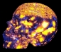 Preview: Skull Yooperlit UV